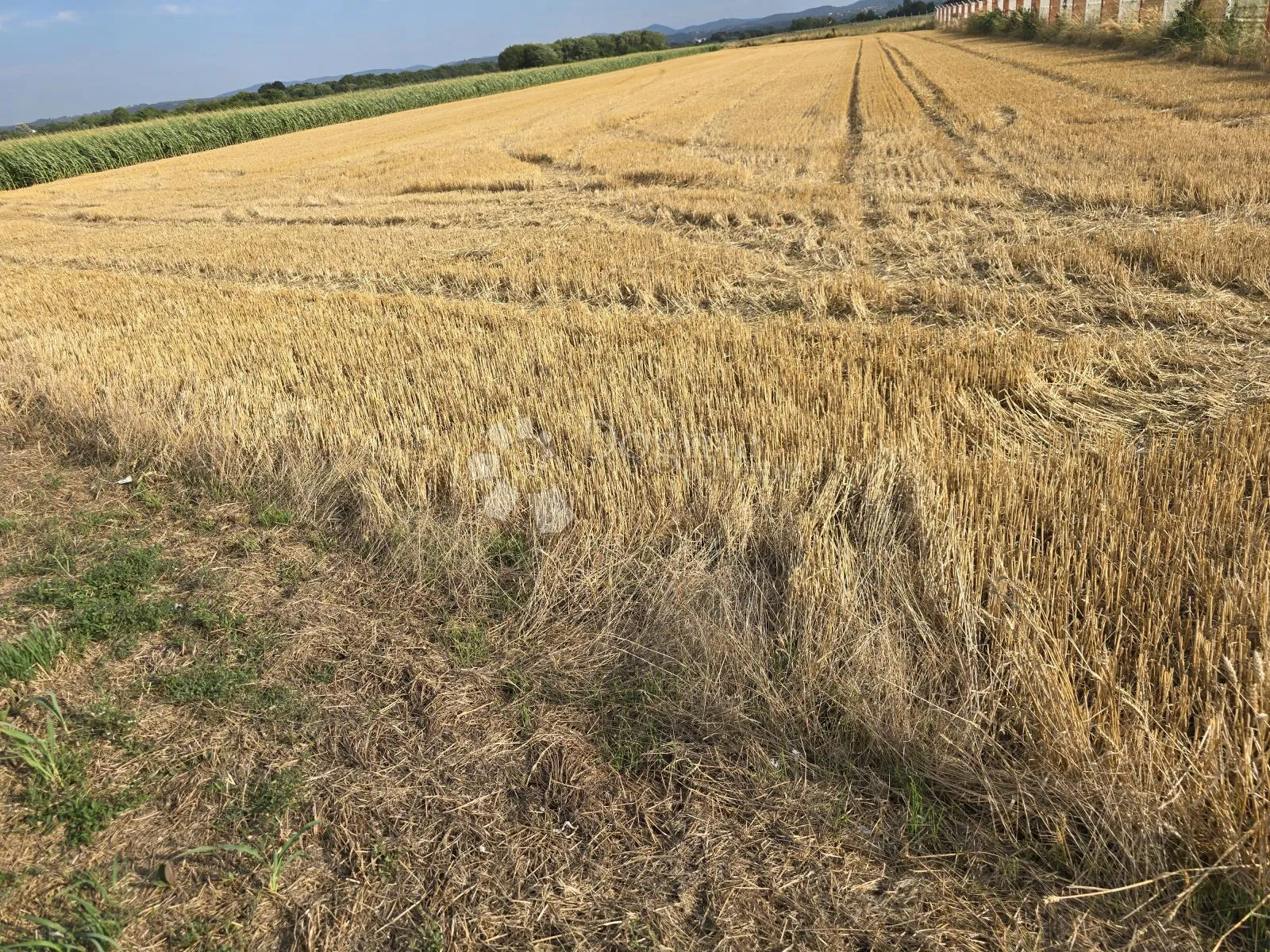 zemljište uz glavnu cestu između varaždina i trnovca – 4310 m² - slika 1