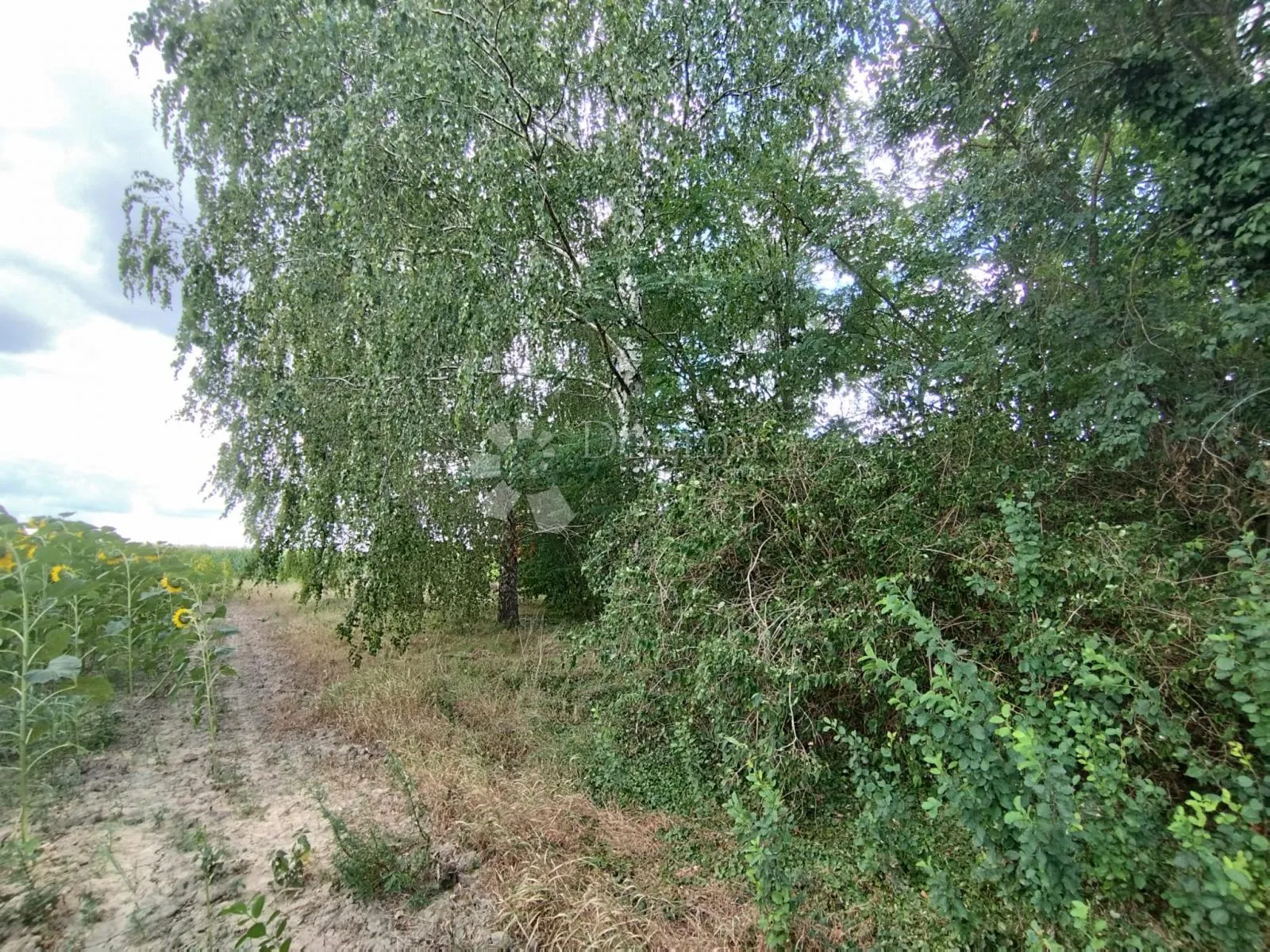 atraktivno građevinsko zemljište – prilika! - slika 11