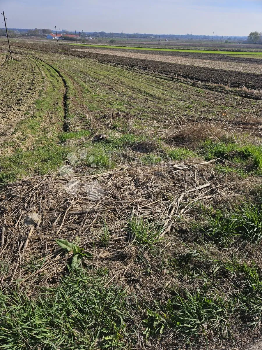 građevinsko zemljište u beretincu - slika 4