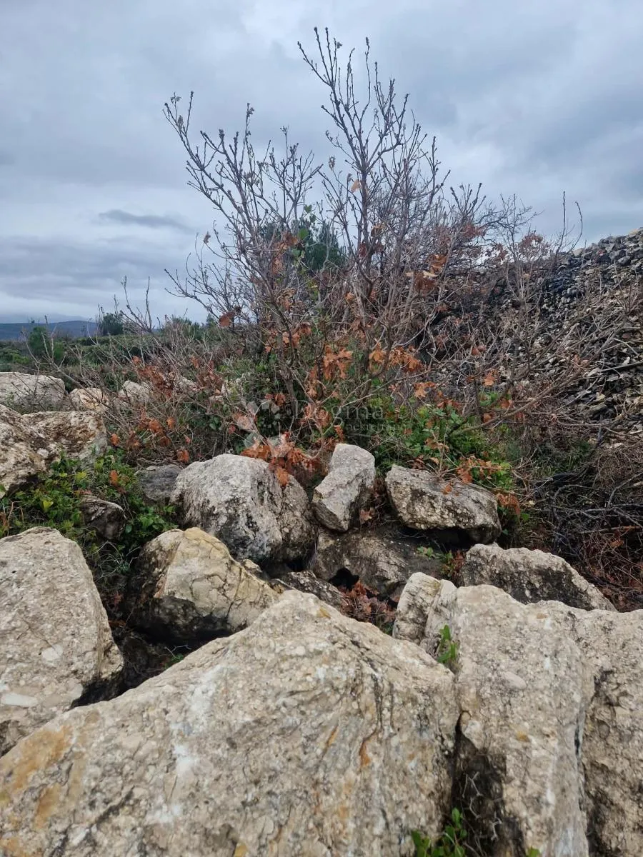 građevinsko zemljište uz more - novigrad - slika 13