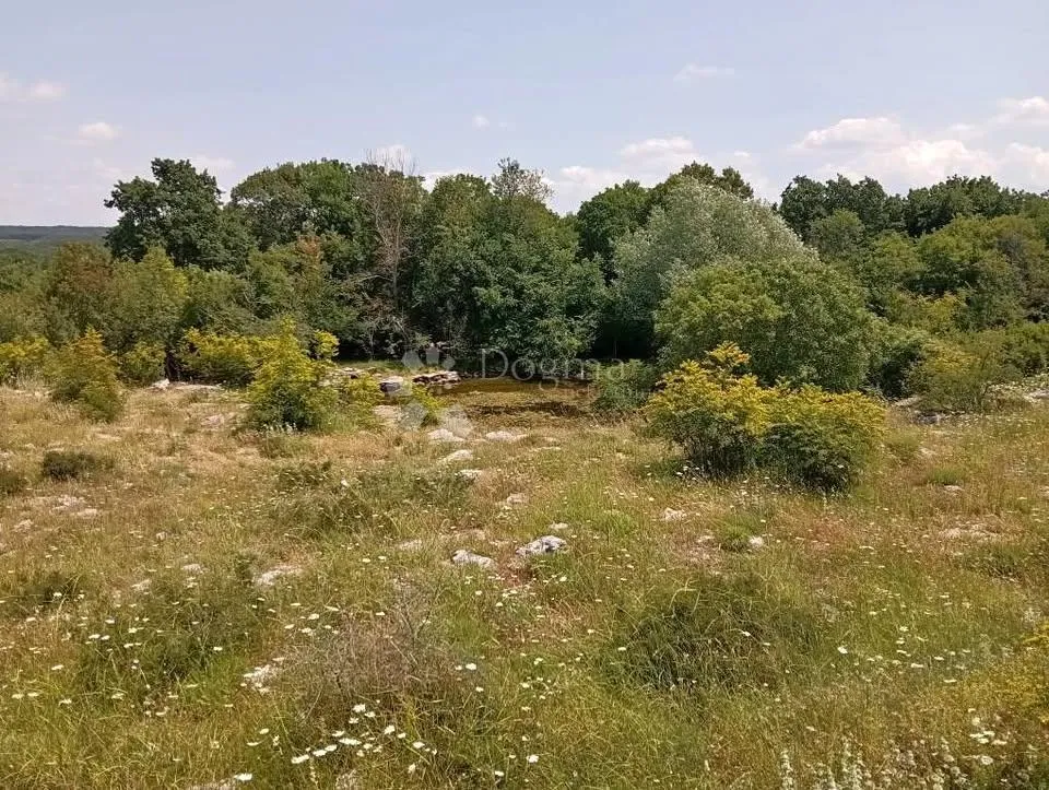 poljoprivredno zemljište 3945m2 - slika 2