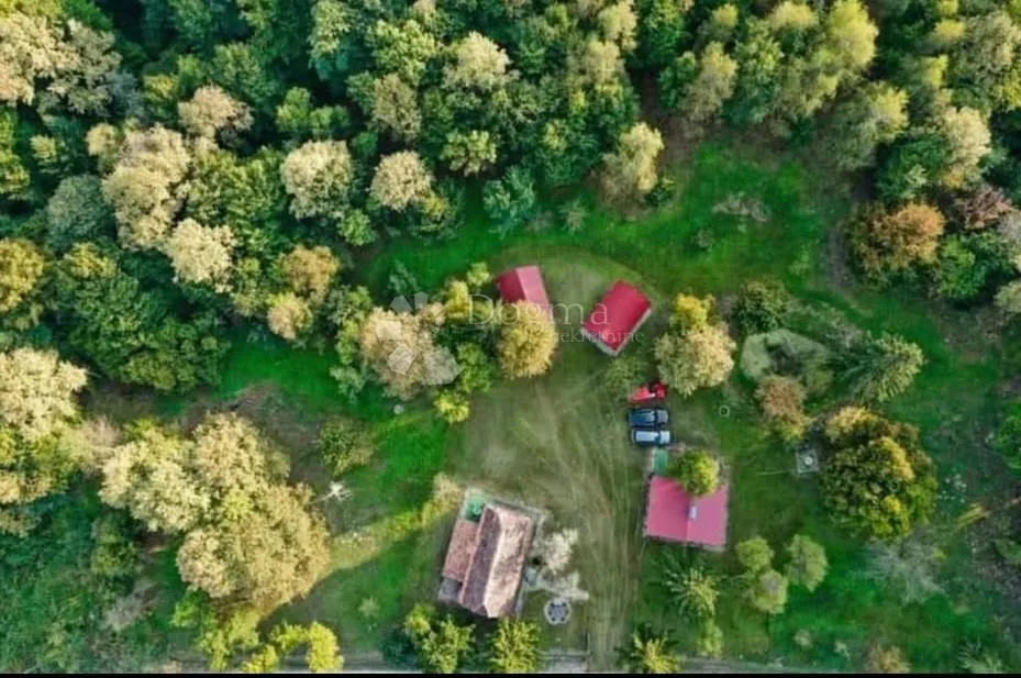 šumska vila - slika 2