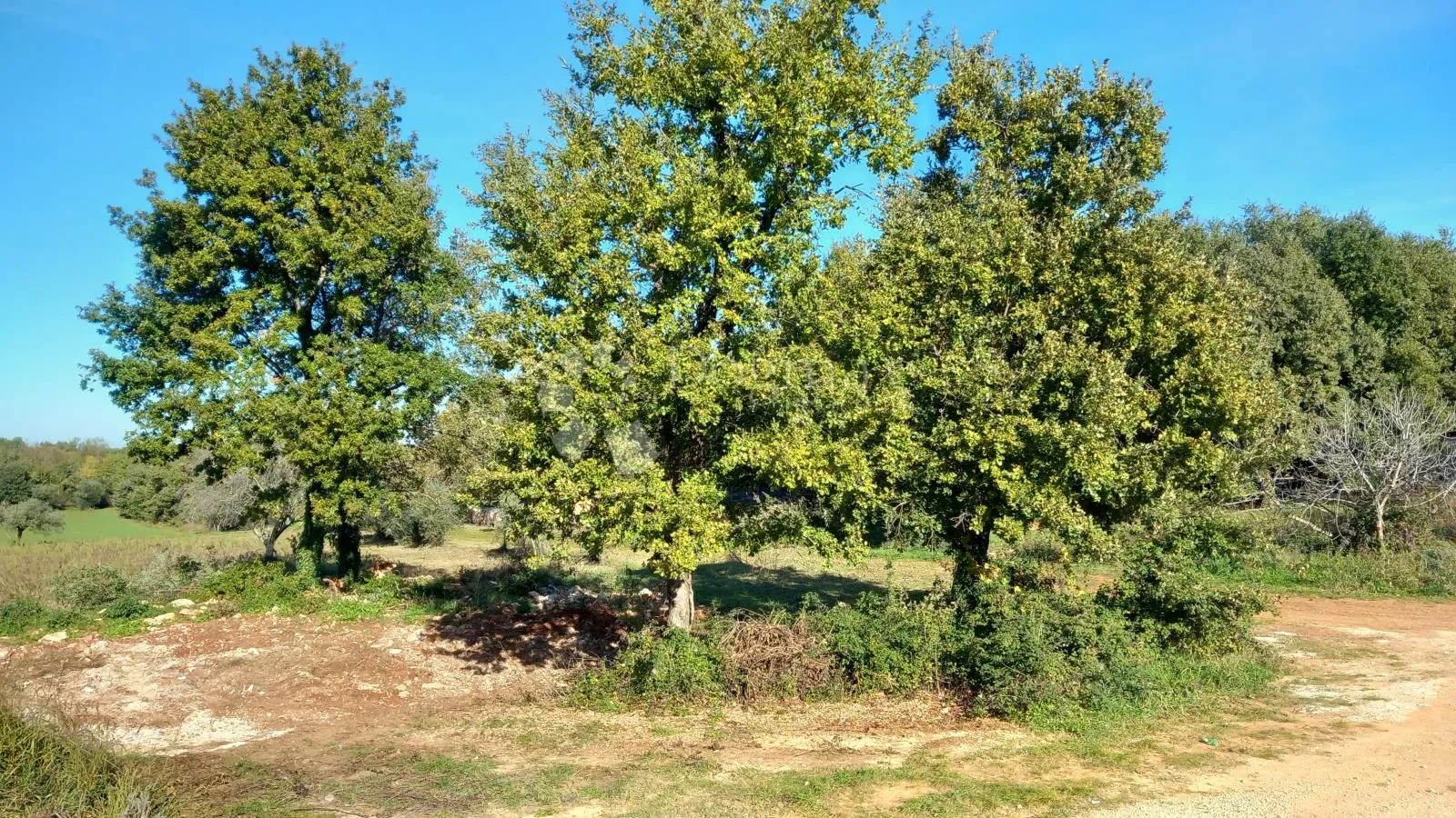 prostrana građevinska parcela s pogledom na more u mirnom susjedstvu - slika 8