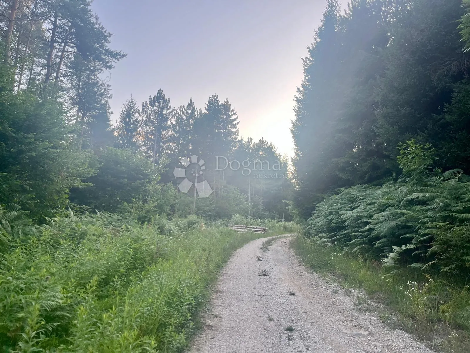zemljište s vizijom – 20 ha netaknute prirode 10 minuta od plitvičkih jezera - slika 3
