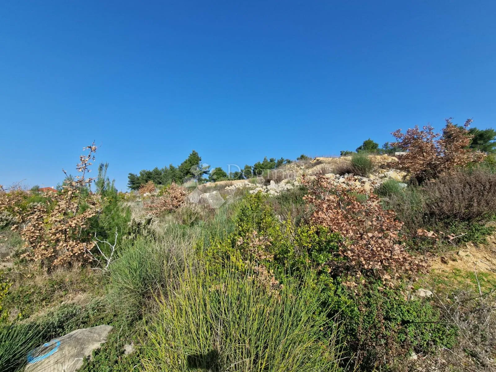 podvršje - ražanac - građevinsko zemljište 500 m2 - slika 17