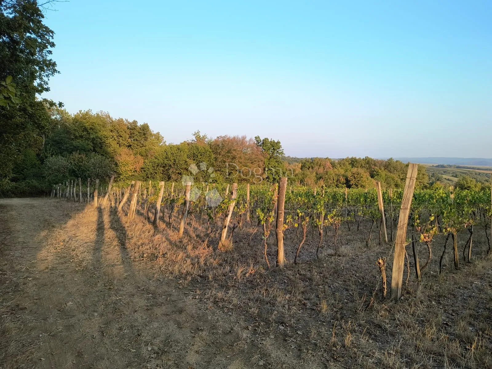 kutjevo - bajkovito imanje velikog potencijala - slika 13