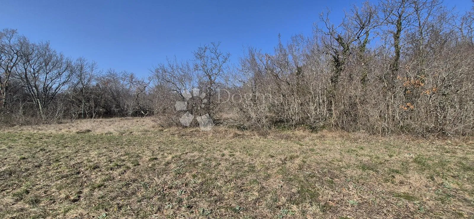 poljoprivredno zemljište 4630 m2 - slika 7