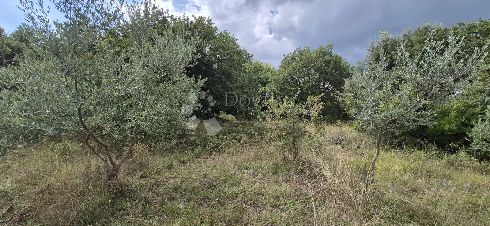 prodaja poljoprivrednog zemljišta - kavran 1288 m2 - slika 4