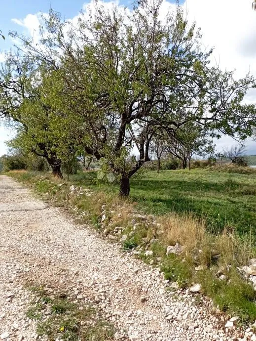 donje polje - građevinsko zemljište 2559 m2 - slika 9