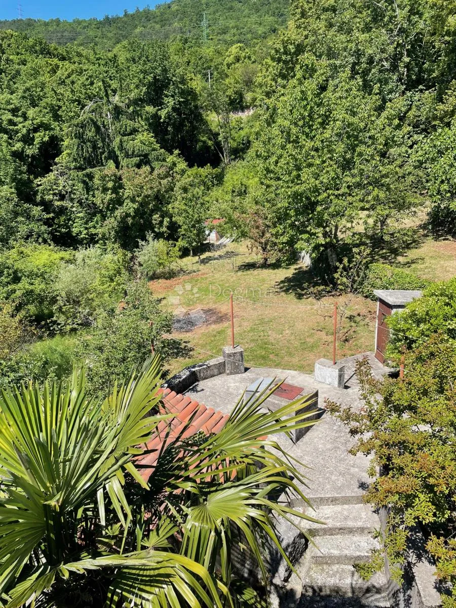 komadić raja koji traži pažnju - slika 3