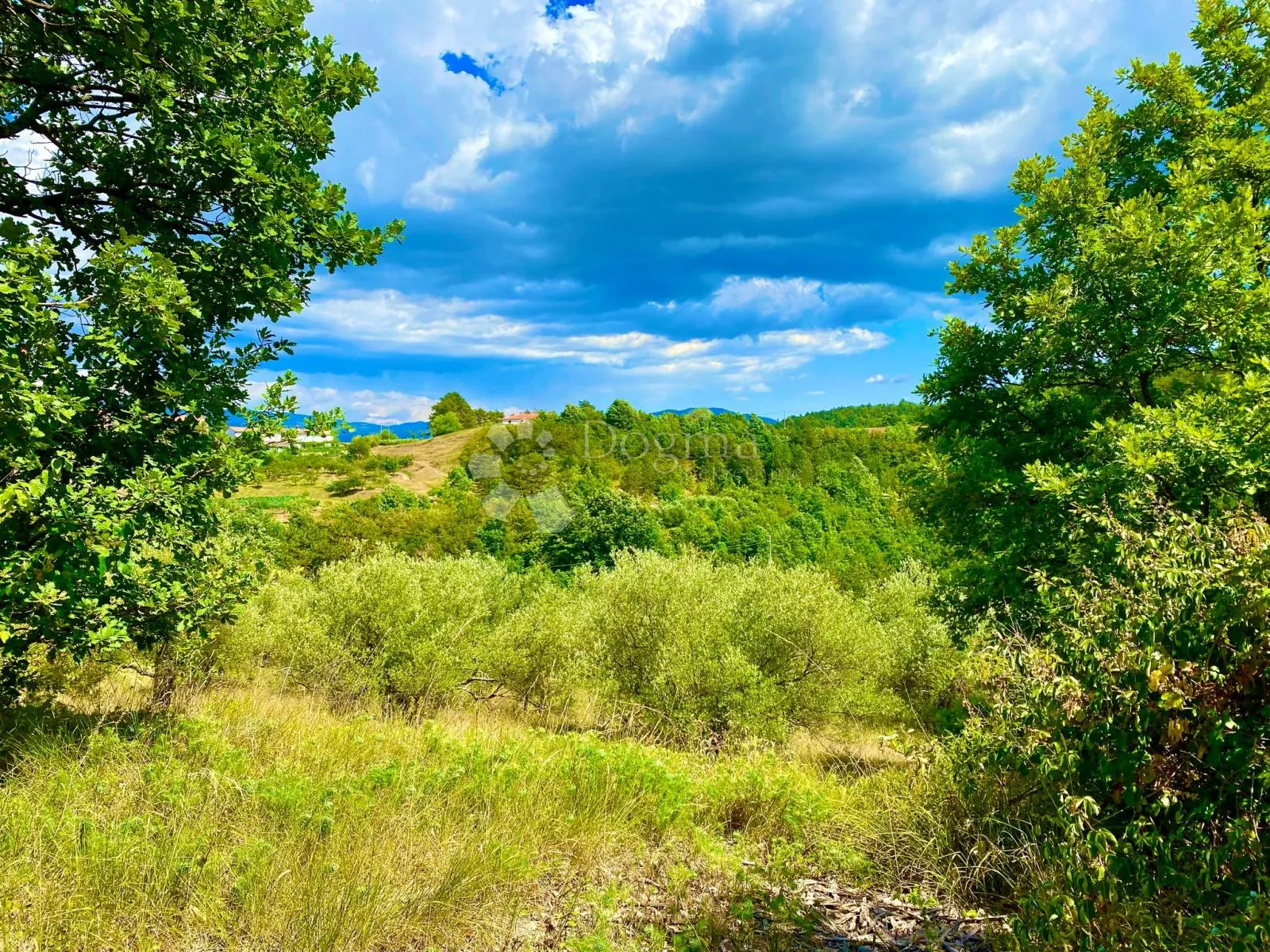građevinsko zemljište centralna istra - slika 6