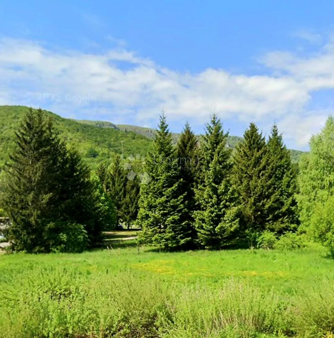 Šuma kod Brod Moravica - Brod Moravice