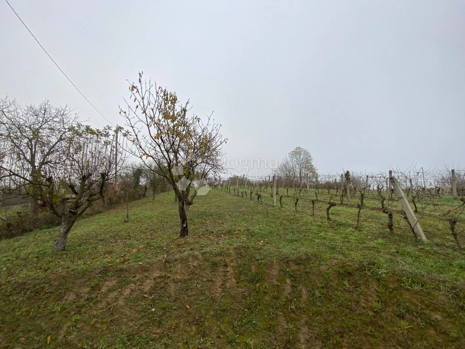 teren sa objektom za obnovu ili rušenje 1115m2 - slika 7