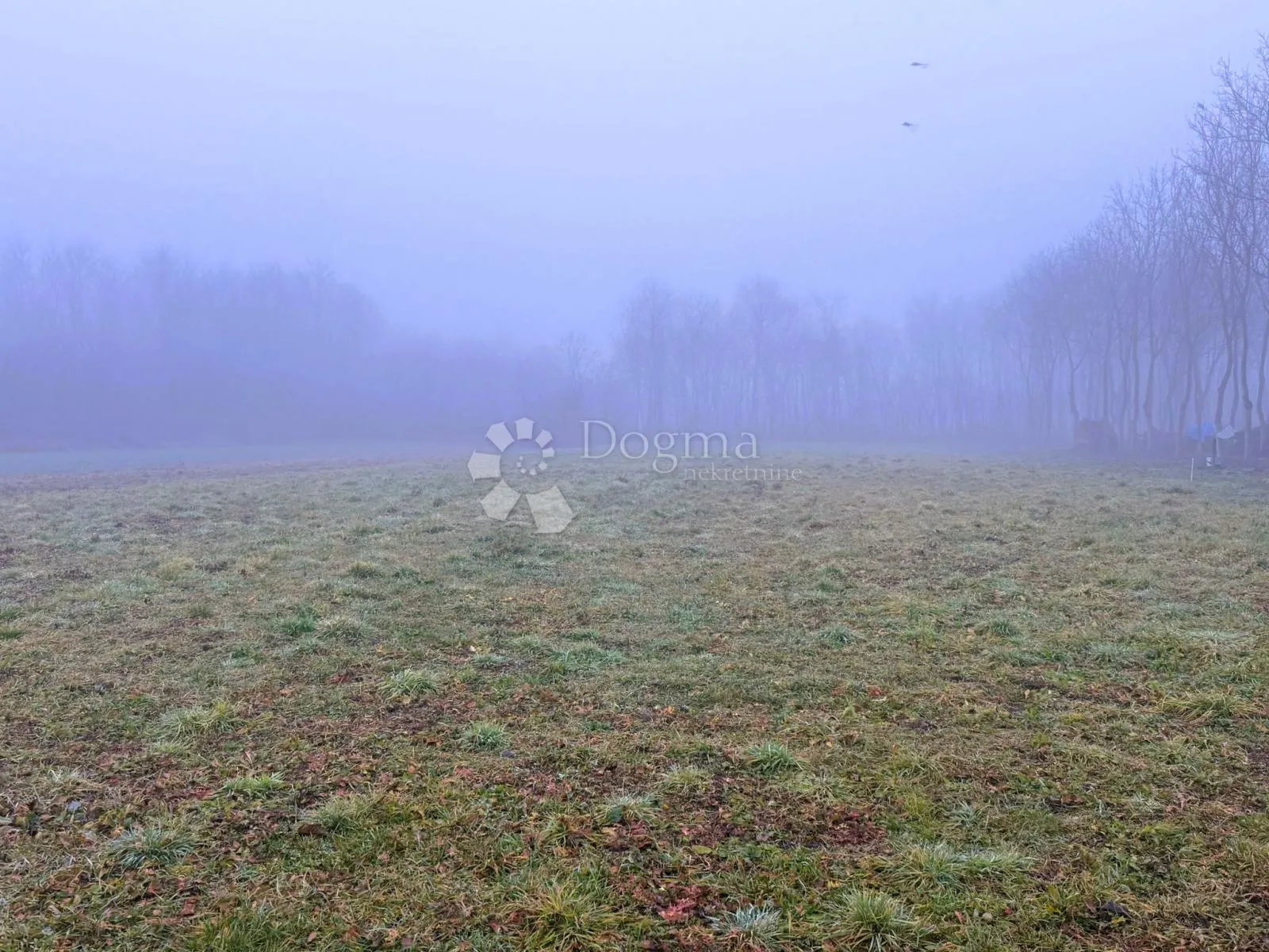 2400 m² mira i prirode - građevinsko zemljište u palinovcu - slika 1