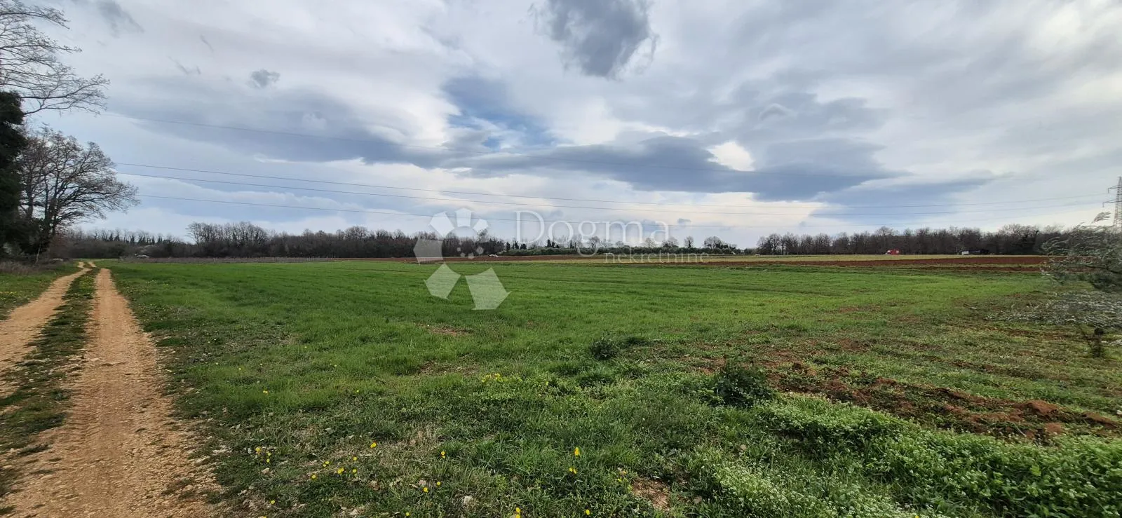 zemljište sa 60 maslina površine 10200 m2 - slika 5