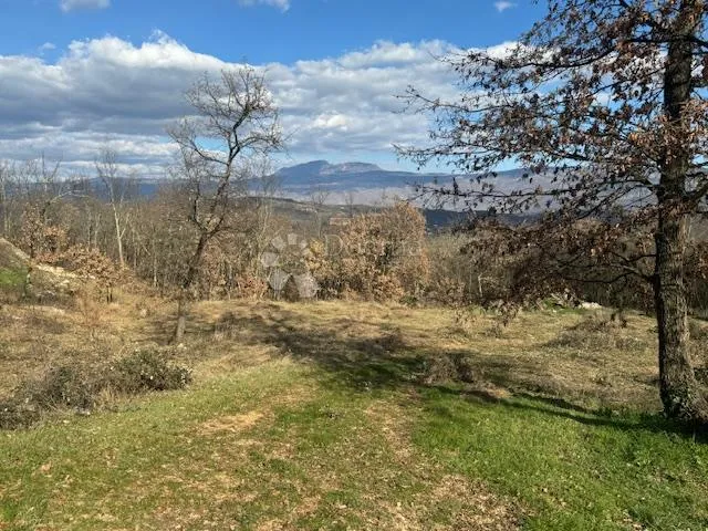 istra građevinski teren - slika 4