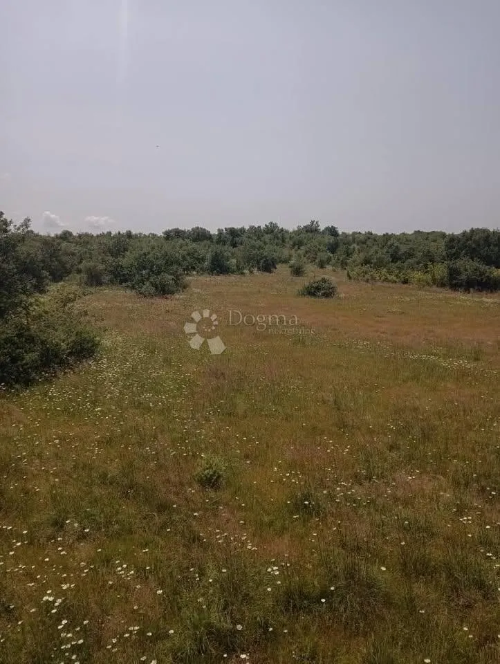 poljoprivredno zemljište 47760m2 - krmed - slika 8