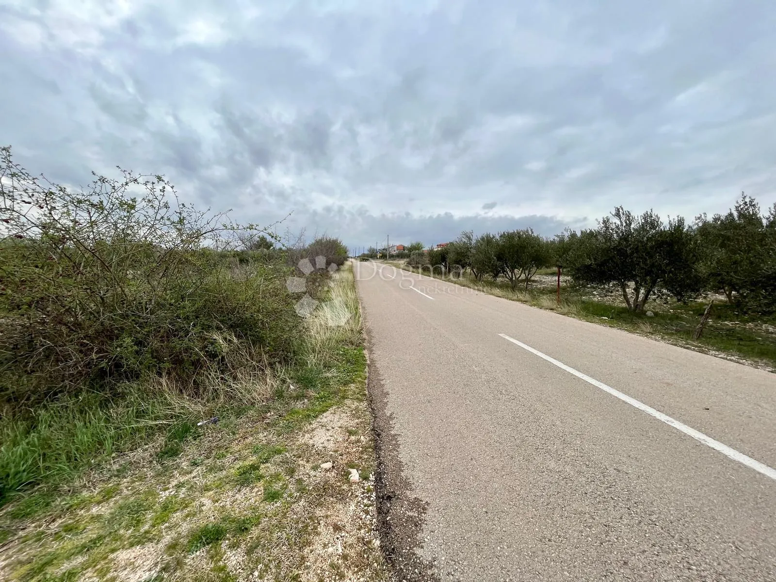 građevinsko zemljište 9.490 m² s maslinikom u rašteviću - slika 3