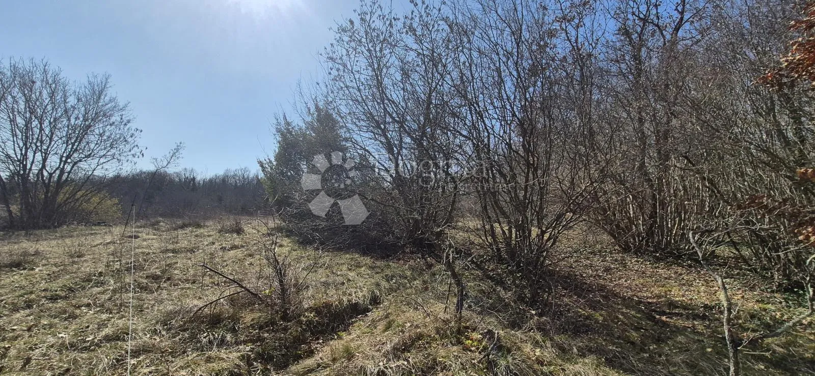 poljoprivredno zemljište površine 7962 m2 - slika 21