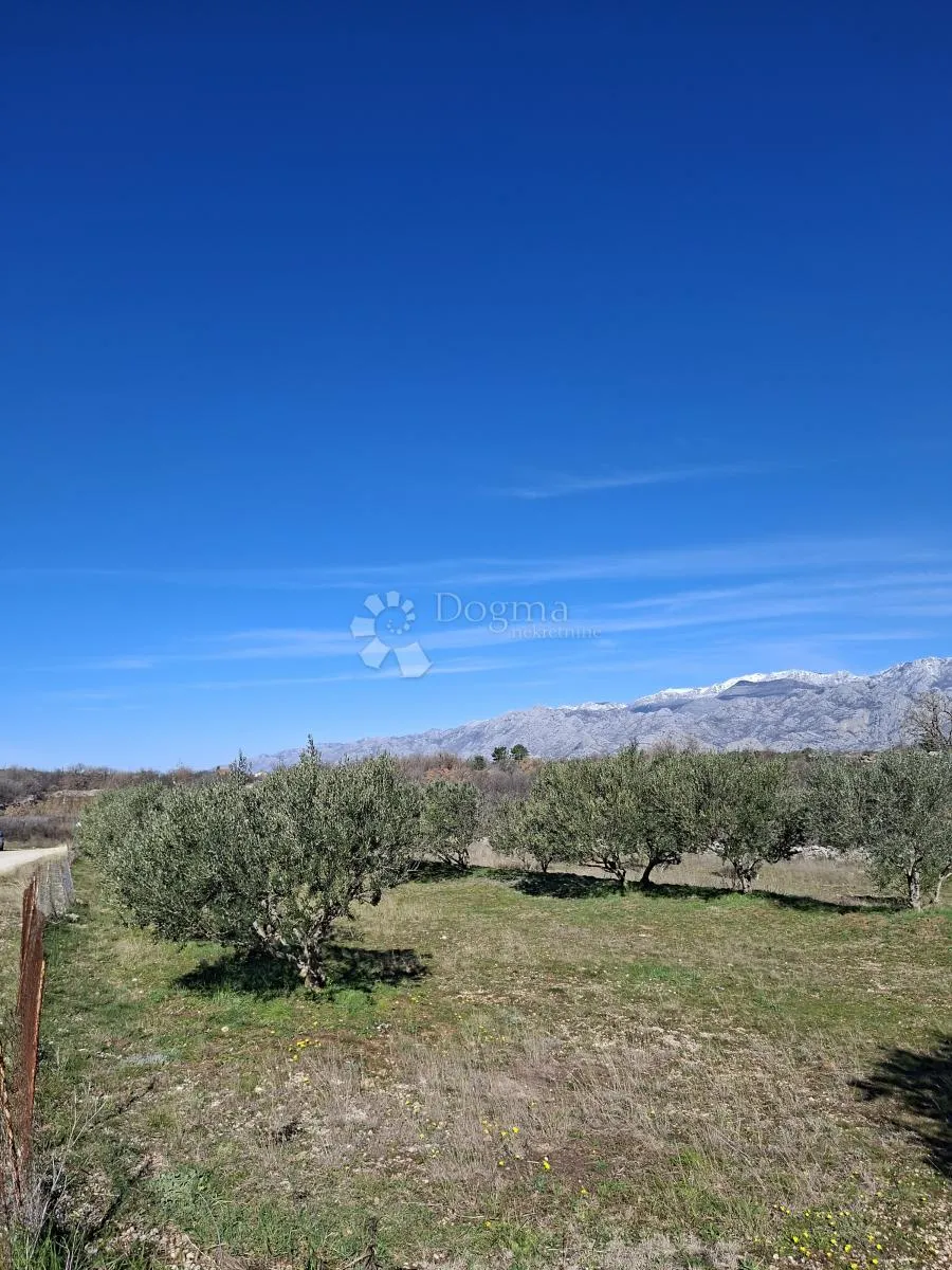 građevinsko zemljište -1950m2-vinjerac - slika 4
