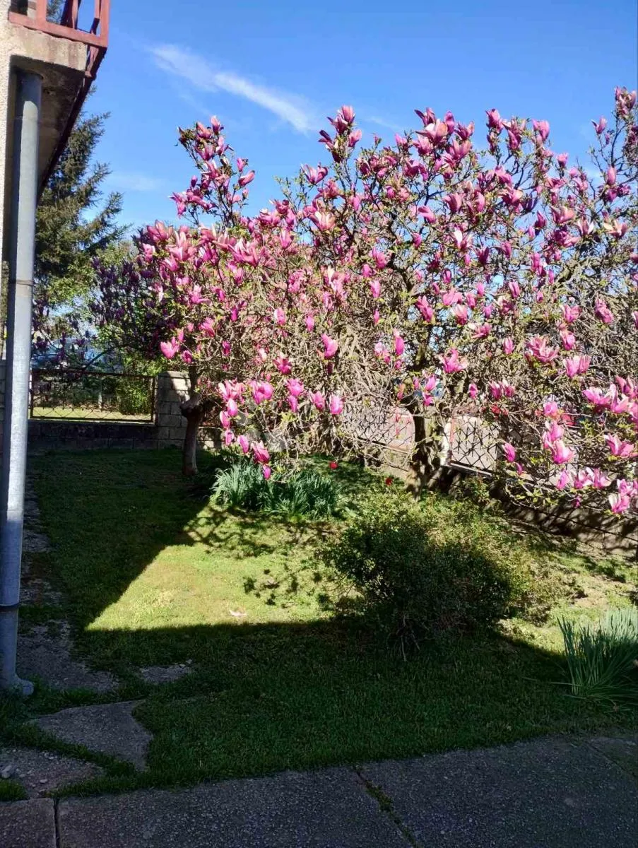 impresivna površina zemljišta u trnovcu - slika 13