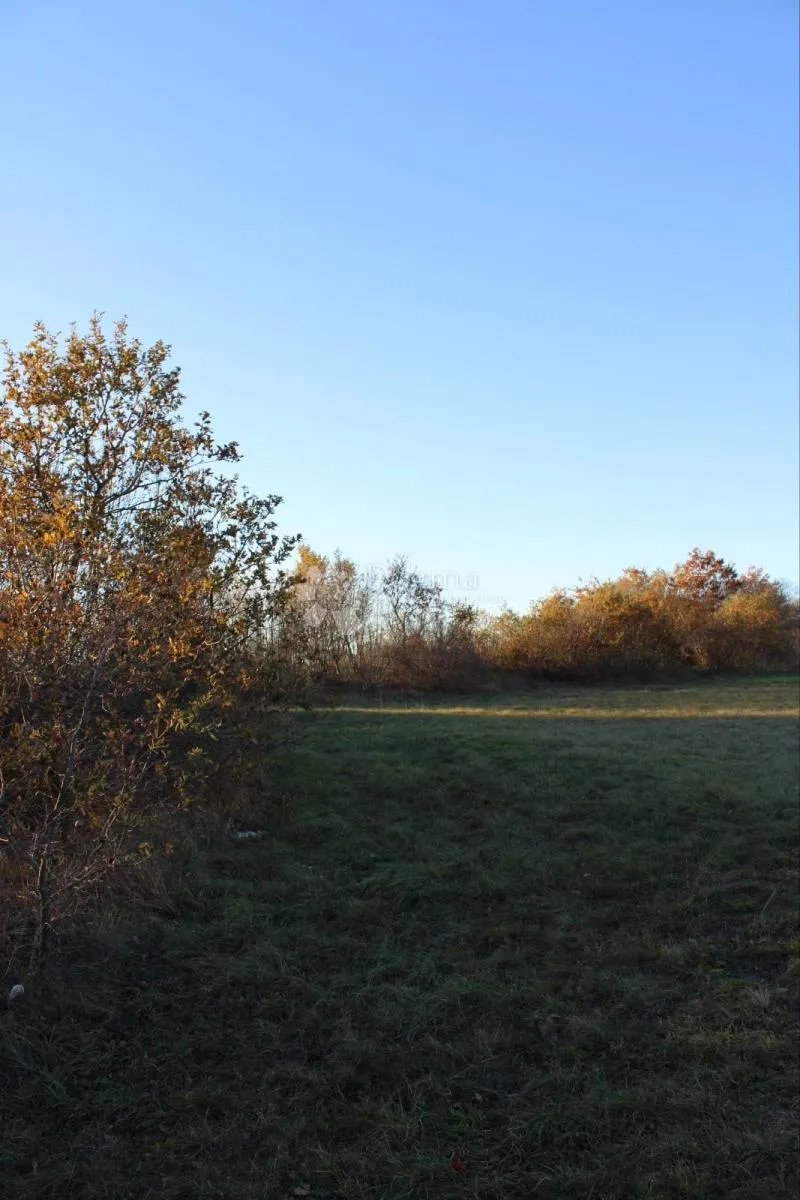 prostrano poljoprivredno zemljište uz cestu,kanfanar 13.000 m2 - slika 5