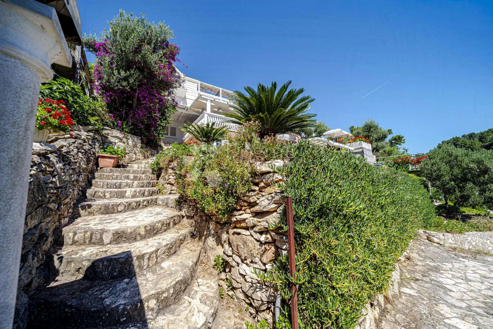 prvi red do mora: samoodrživa apartmanska vila s uhodanim poslovanjem – vela luka, korčula - slika 67