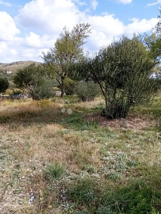 donje polje - građevinsko zemljište 2559 m2 - slika 5
