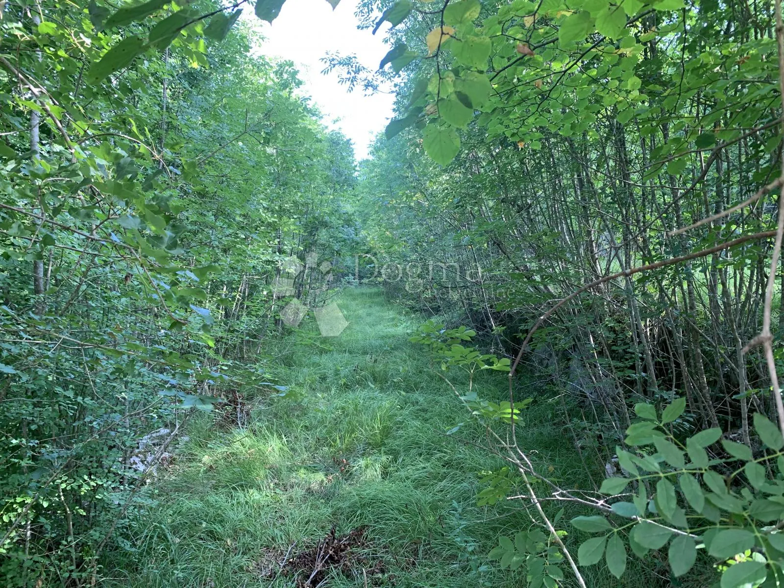 permani, građevinsko zemljište 4.057 m² - slika 5