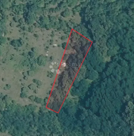 Poljoprivredno zemljište 1315m2 - Čabrunići, Svetvinčenat