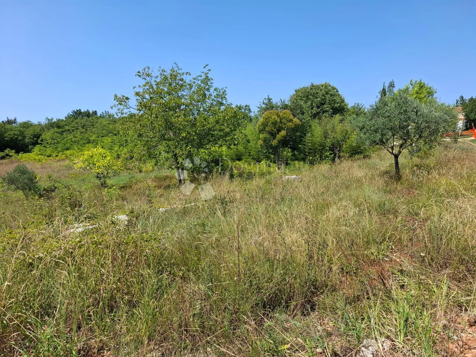 građevinsko zemljište buje - slika 2
