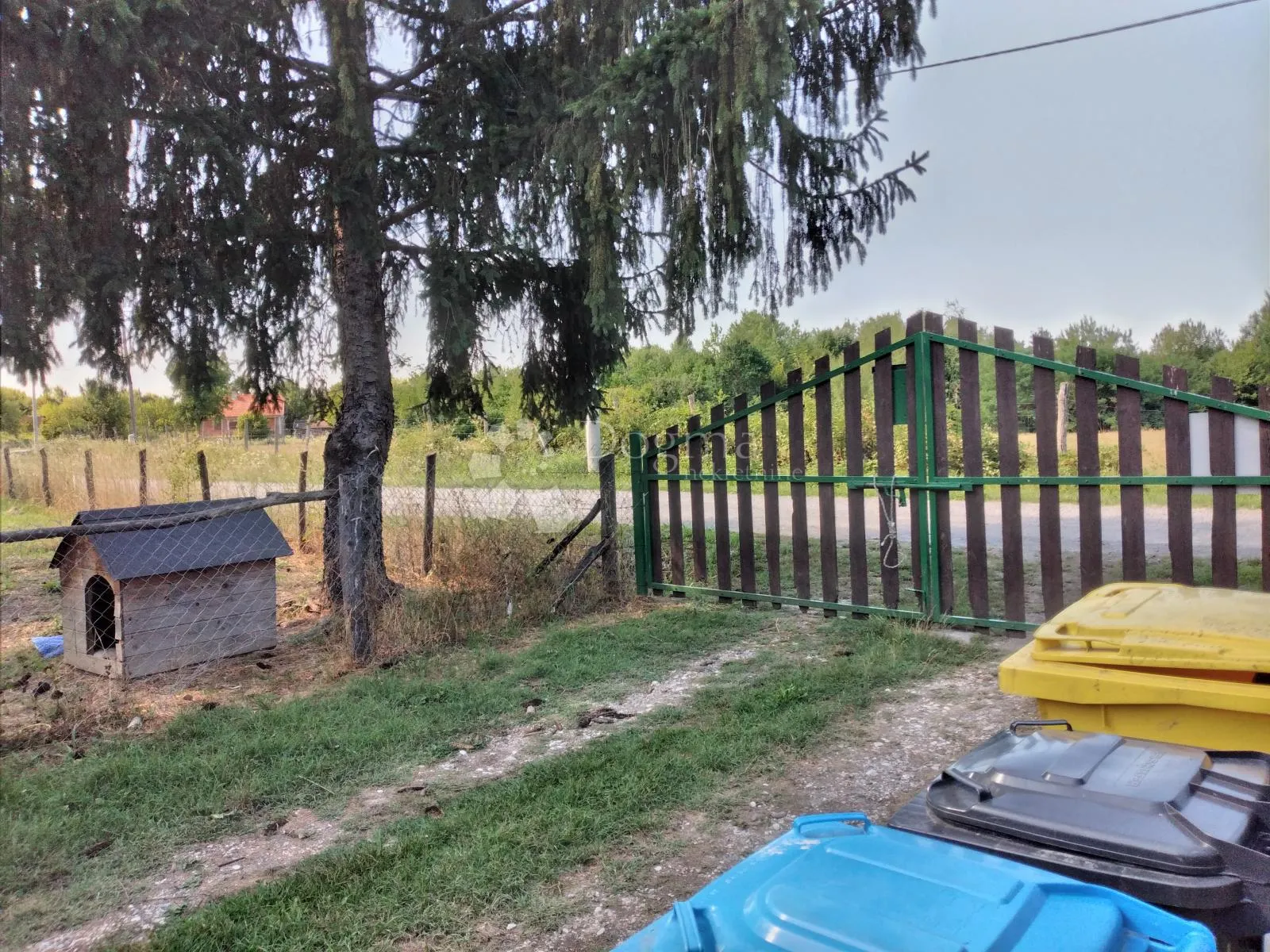 šumska vila - slika 35
