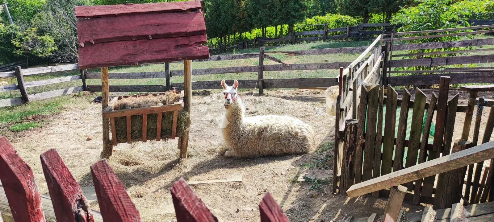jedinstvena nekretnina na tržištu - slika 25