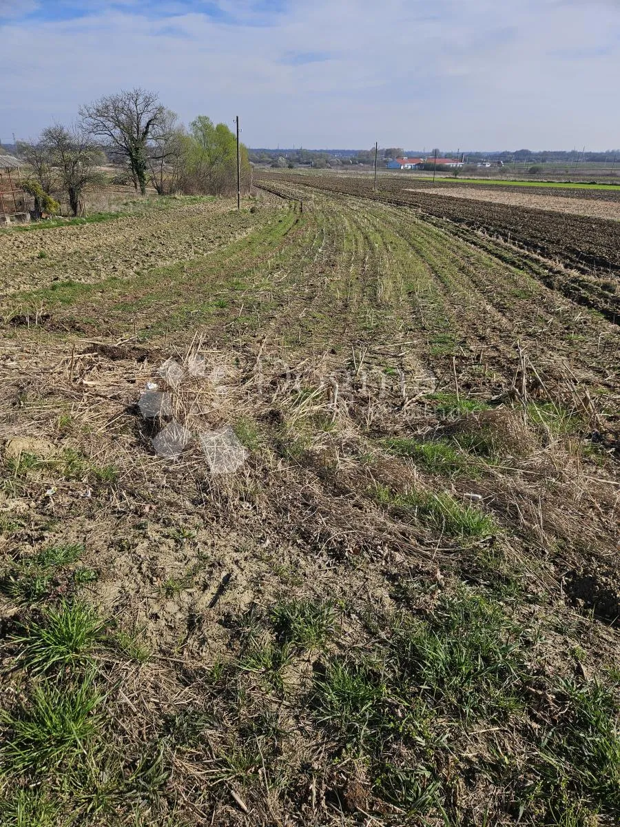 građevinsko zemljište u beretincu - slika 3