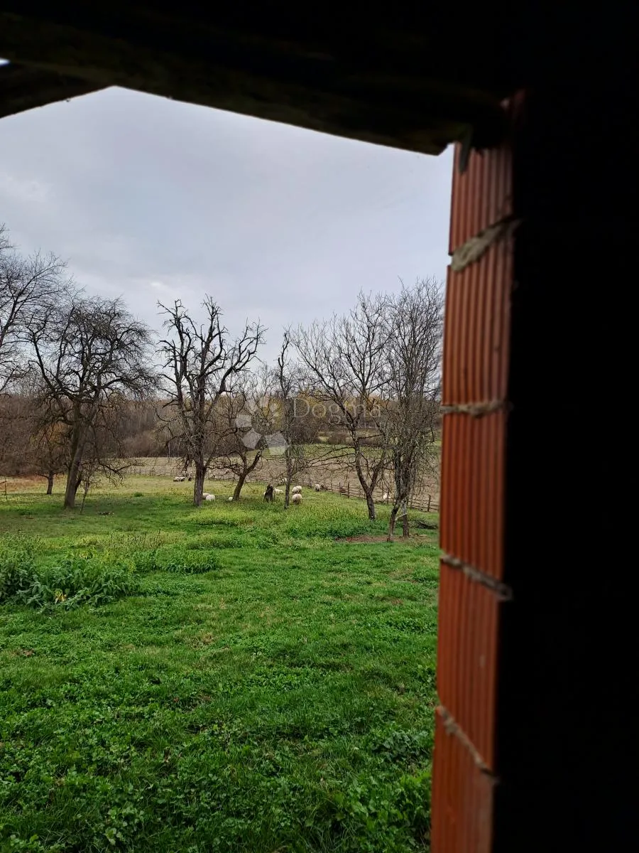 posjed s bunarom i dosta šume - slika 17