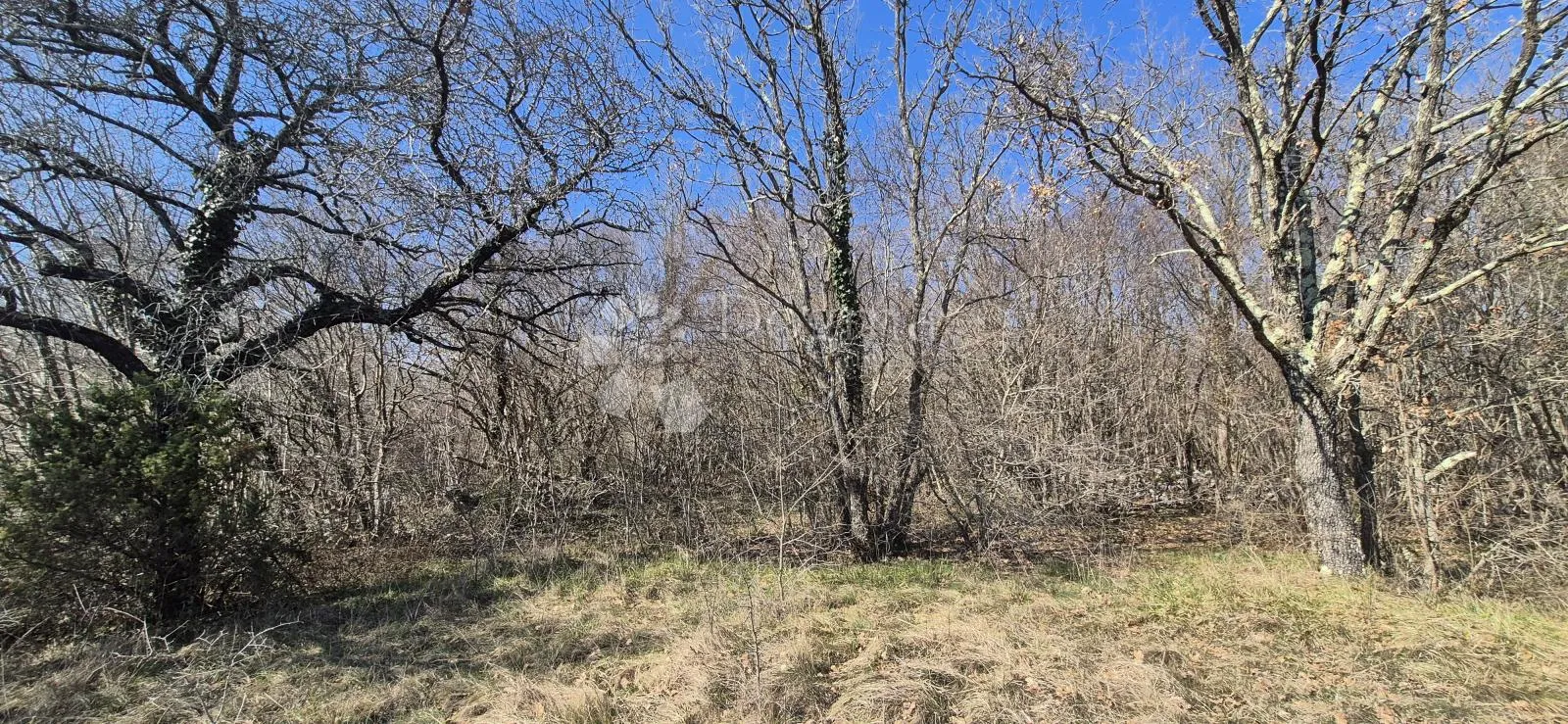 poljoprivredno zemljište površine 7962 m2 - slika 24