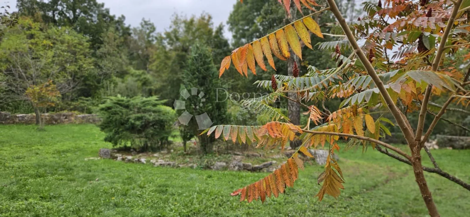 ekskluzivno kuća na osami, okružena šumom - slika 43