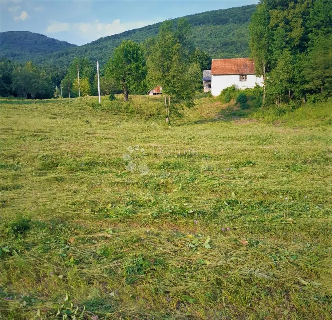 imanje na osami – 28.801m2 prirode, mira i privatnosti - slika 4