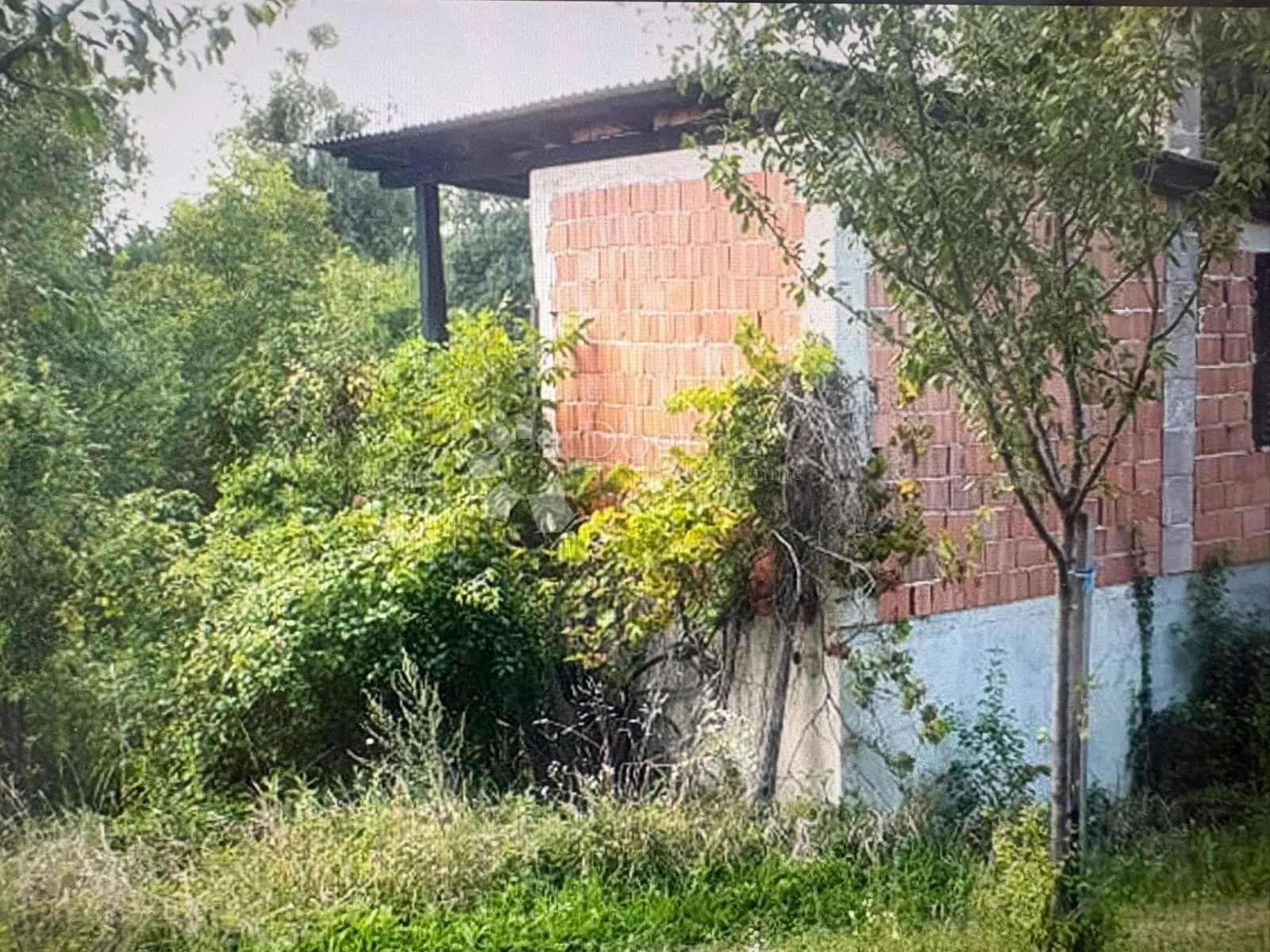 andraševac vikendica, 50 m2 hitno ! - slika 3