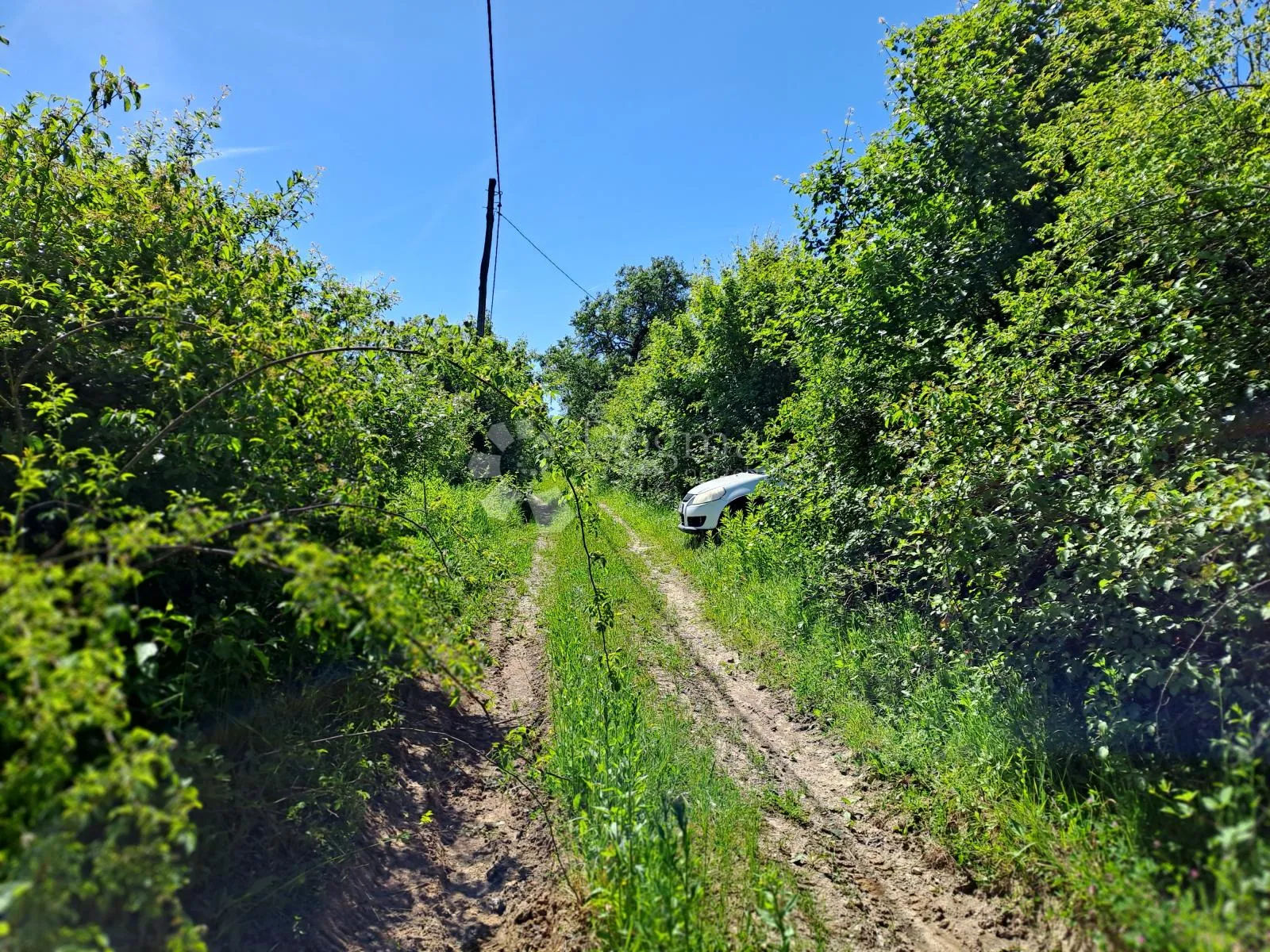 šumska farma 40 km od zg - slika 2
