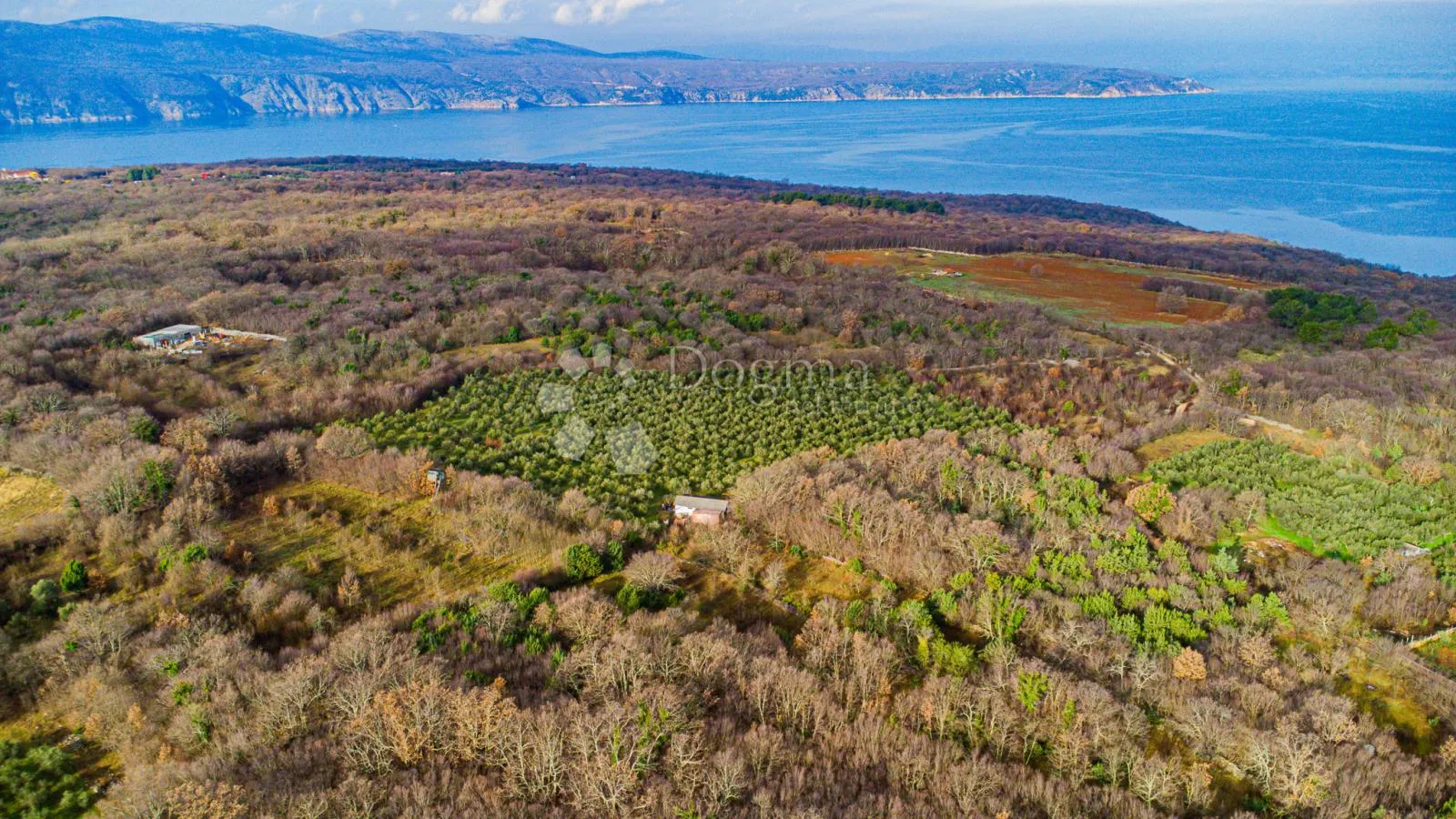 otok krk prekrasno imanje maslinik sa kućom - slika 9