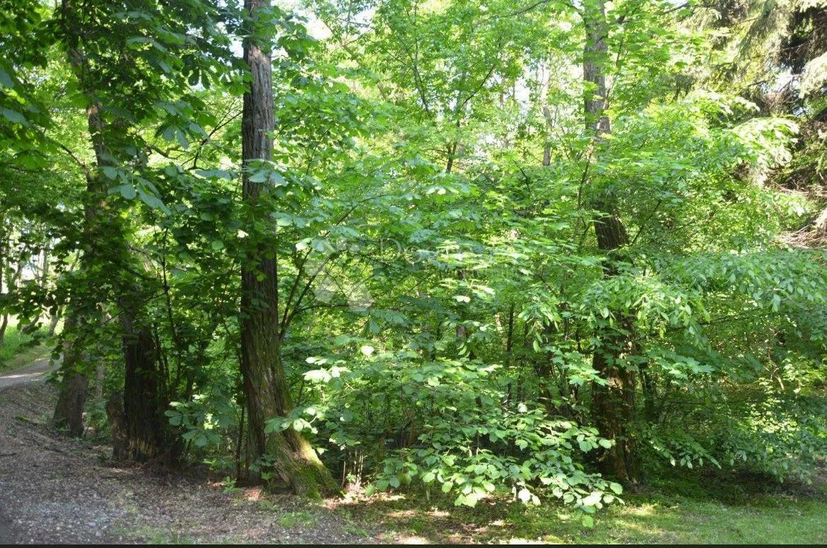 Poljoprivredno zemljište šuma i zelena zona - Perjasica, Barilović