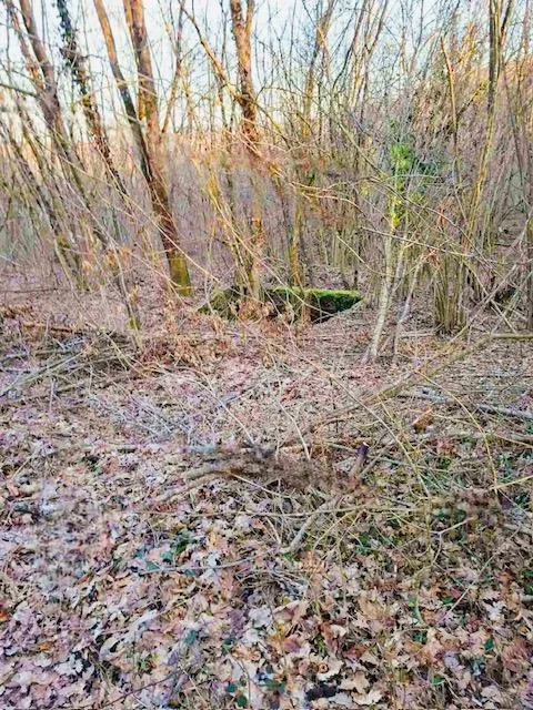 ogulin - poljoprivredno zemljište s potencijalom - slika 4