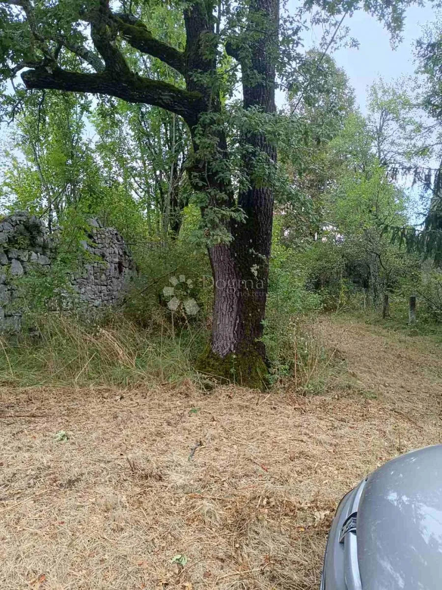 poljoprivredno / građevinsko zemljište 165 000 m2 - slika 4