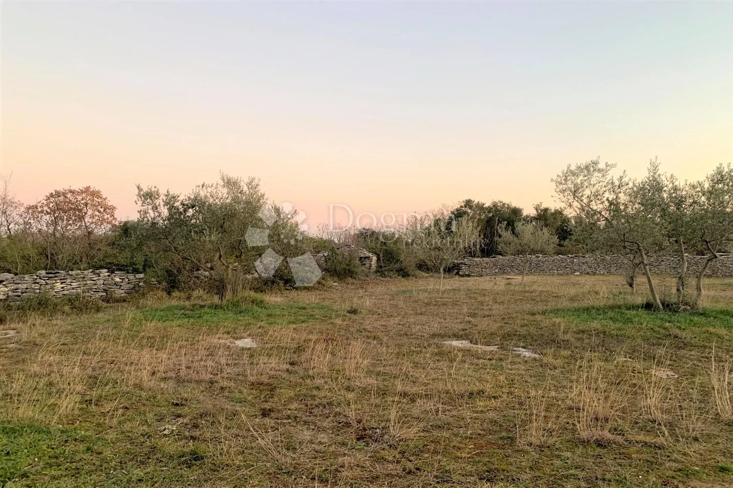 bale – maslinik i šuma 3 km od mora - slika 2