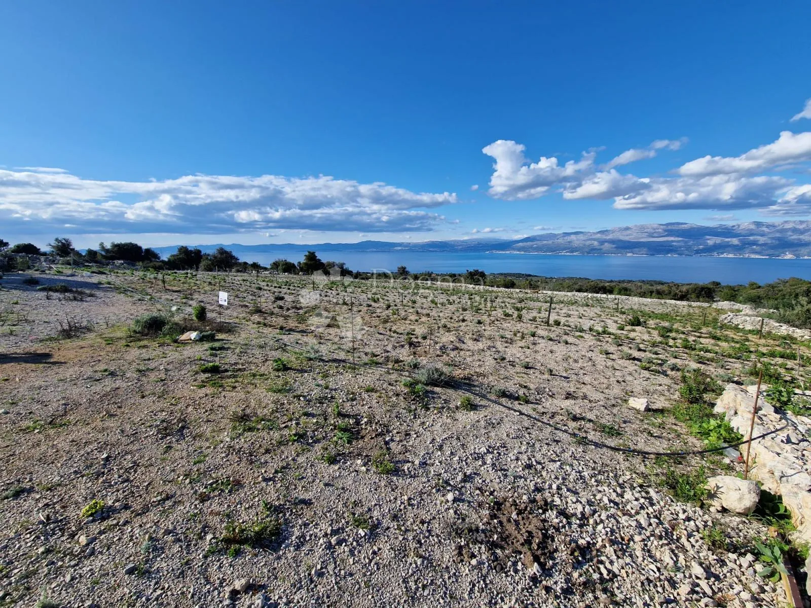 donji humac, zemljište za izgradnju opg-a, 12555 m2, pogled - slika 15