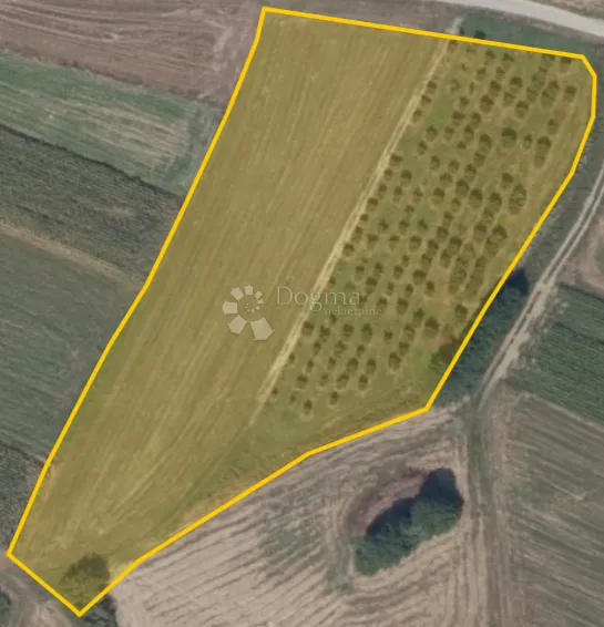 lješnjaci + poticaji = pametna kupnja! 4489 m² - slika 5