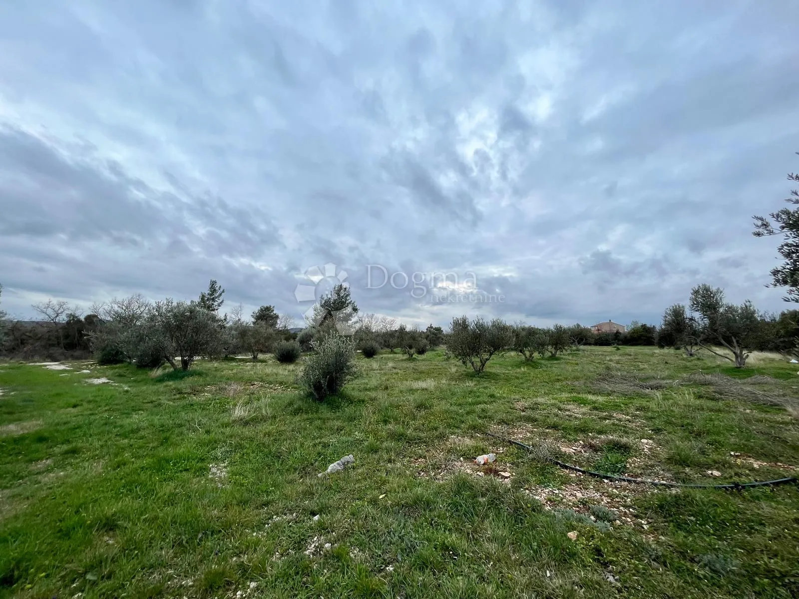 građevinsko zemljište 9.490 m² s maslinikom u rašteviću - slika 12