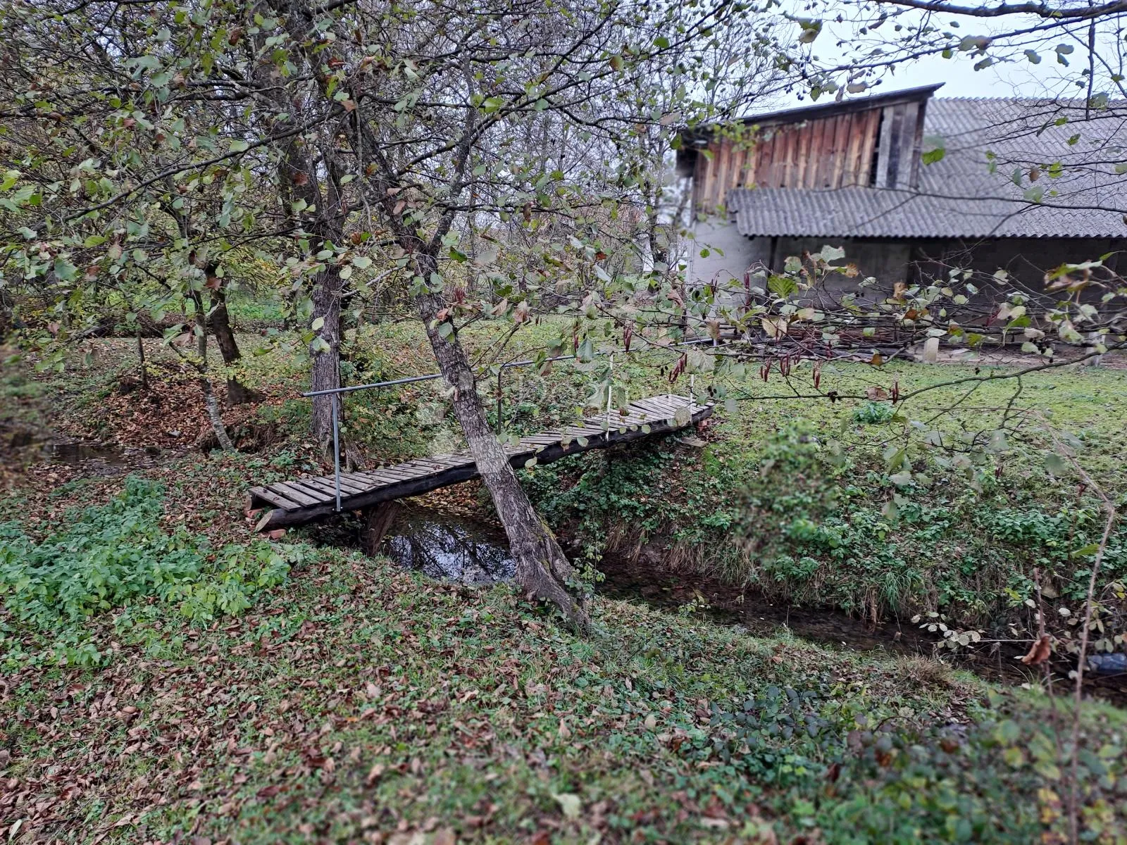 uživancija za konjiće, kravice ili ljude - slika 28
