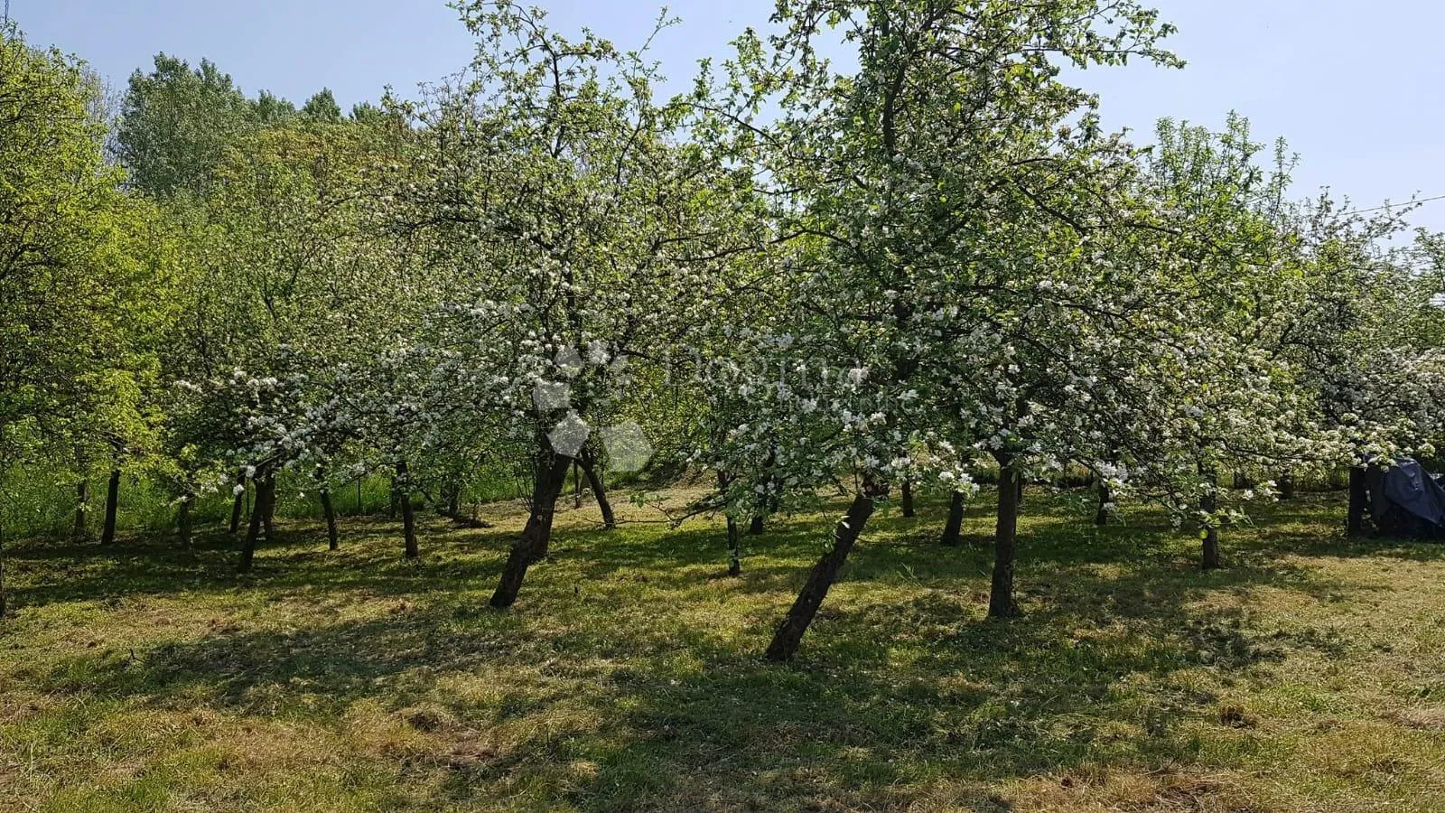 drnek velika gorica 1700m2 uz savu! - slika 4